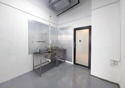Macpherson Mall (D13), Shop House #607320181